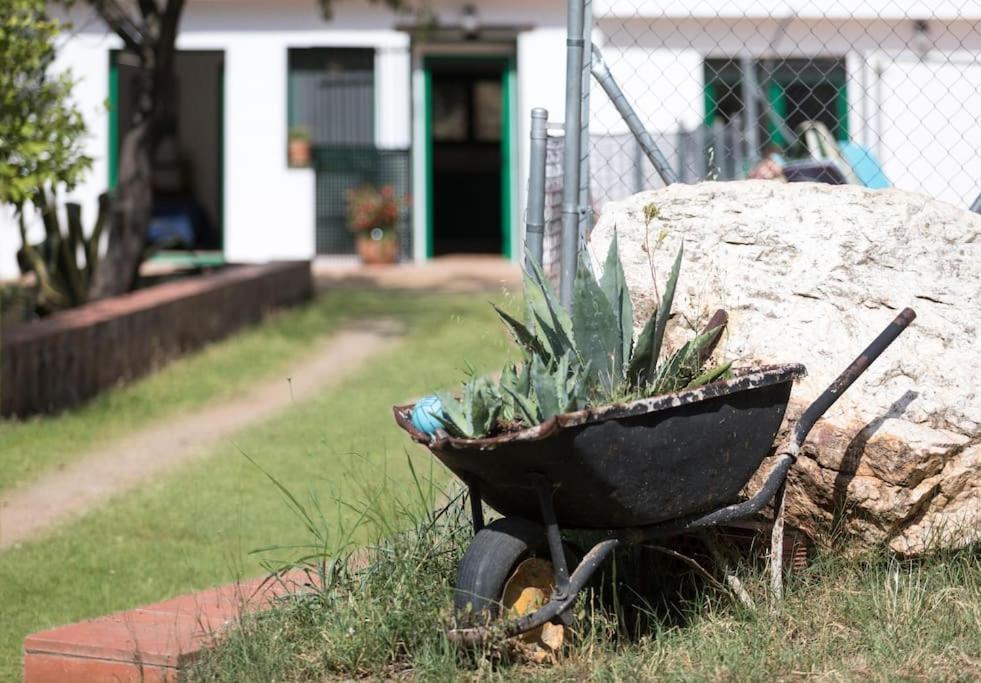 Cottage Eco-Friendly Barcelona Country Side La Garriga Exterior foto