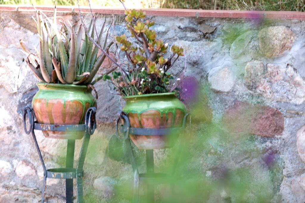 Cottage Eco-Friendly Barcelona Country Side La Garriga Exterior foto