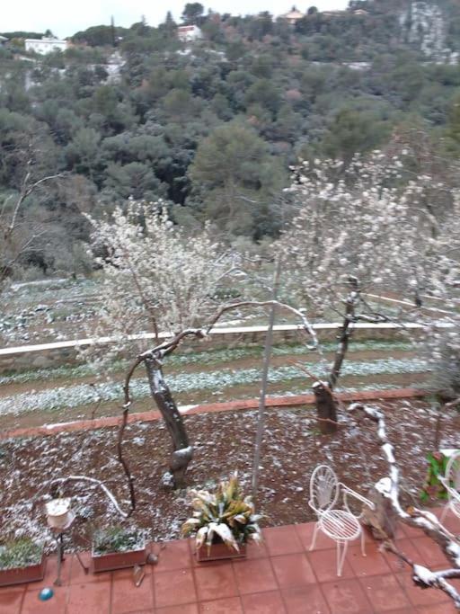 Cottage Eco-Friendly Barcelona Country Side La Garriga Exterior foto