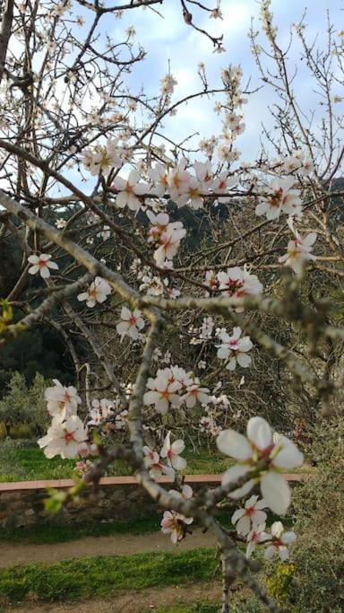 Cottage Eco-Friendly Barcelona Country Side La Garriga Exterior foto